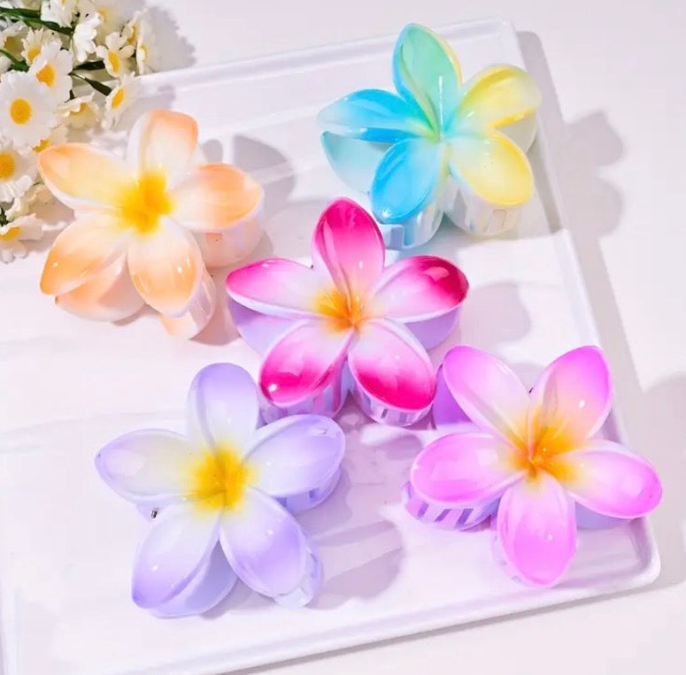 Haarklammer Frangipani