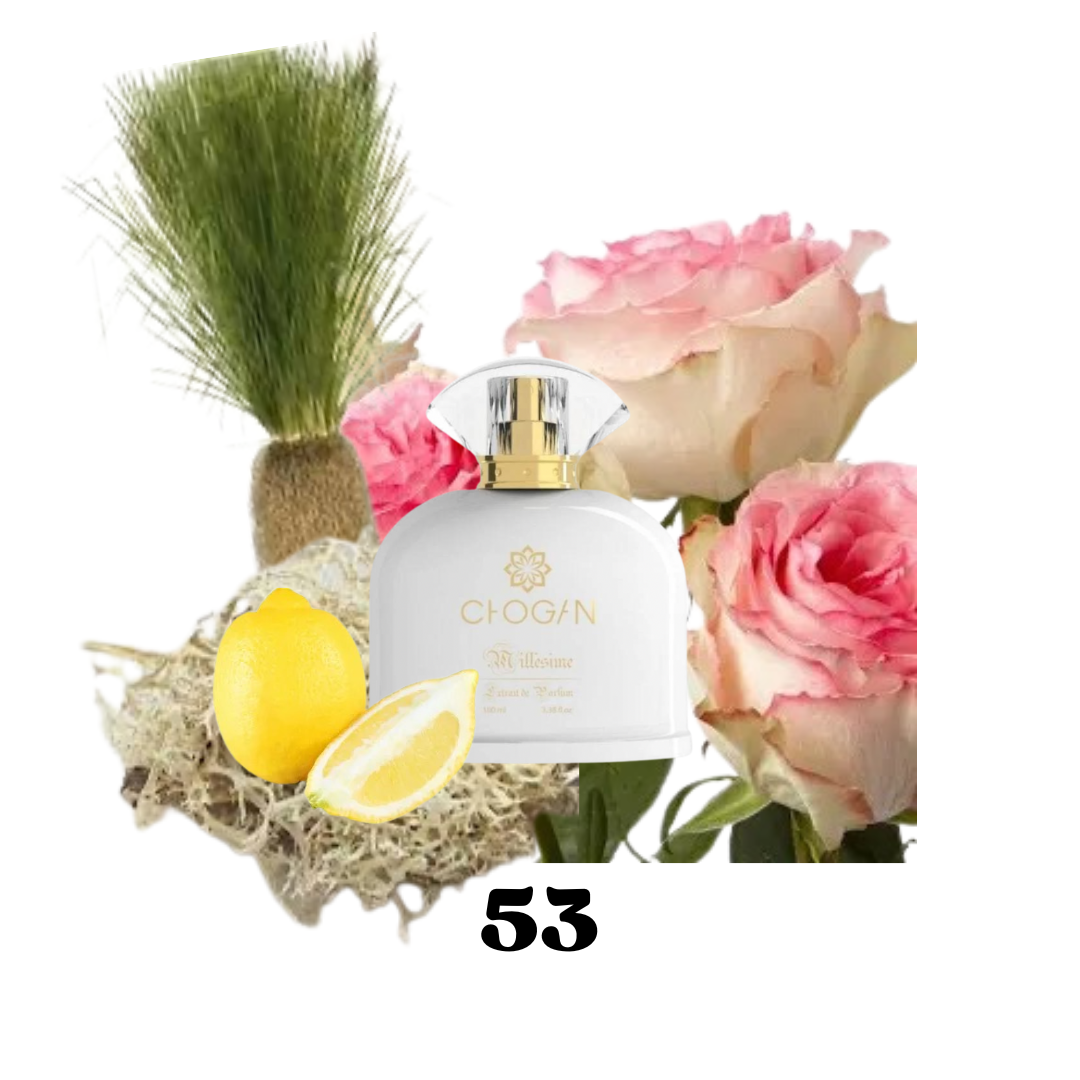 Parfüm "Narciso - Narciso Rodriguez" Inspired Women N.53