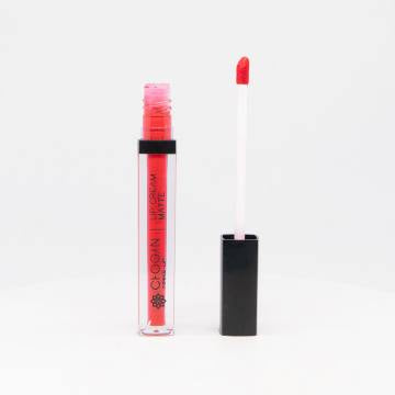 16 VERSCHIEDENE LONGLASTING LIP CREAM - MATTE FLÜSSIGER LIPPENSTIFT-KUSSECHT