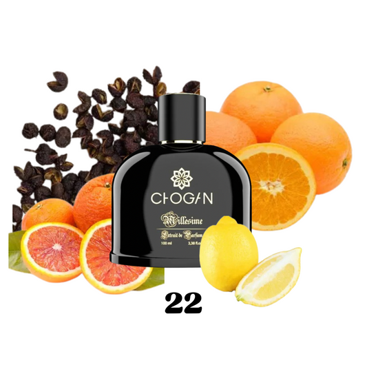 Parfüm "Terre d’Hermès - Hermès" Inspired Men N.22