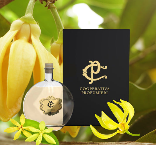 Mystic Ylang Raumdufter 8