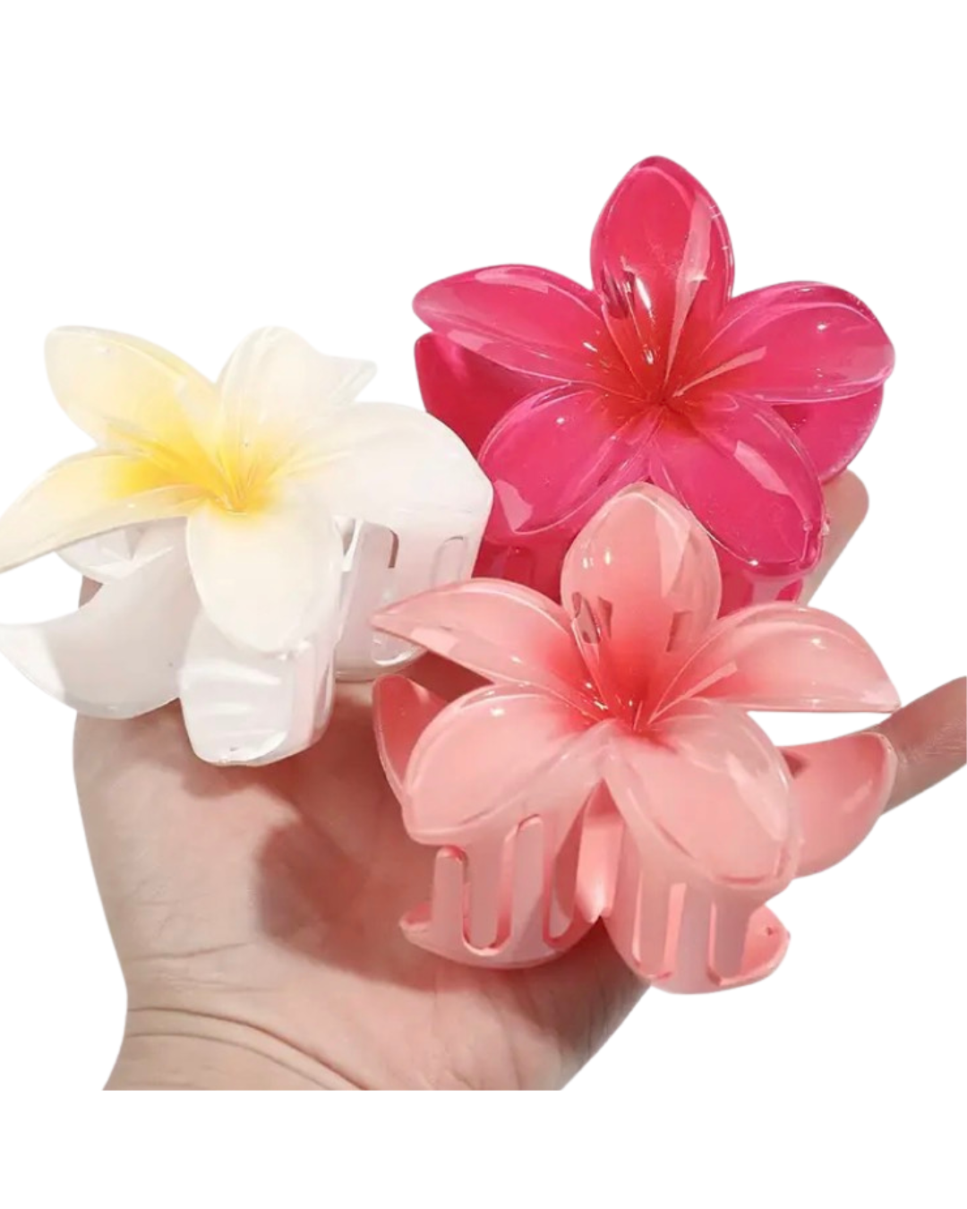 Haarklammer Frangipani