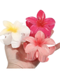 Haarklammer Frangipani